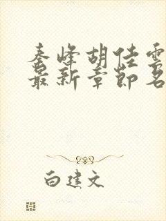 秦峰胡佳云小说最新章节名封面