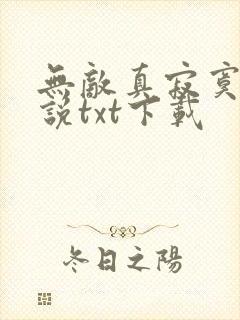 无敌真寂寞 小说txt下载封面