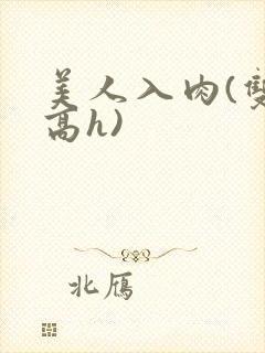 美人入肉(双性高h)