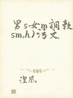 男s女m调教(sm,h)污文