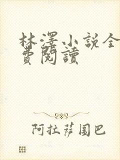 林泽小说全集免费阅读
