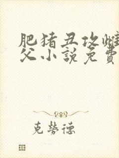 肥猪丑攻雌堕人父小说免费读