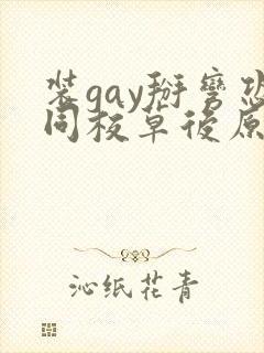装gay掰弯恐同校草后原著小说叫什么