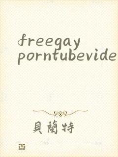 freegayporntubevideos