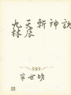 九天斩神诀一一林辰封面