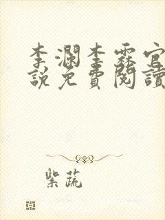 李澜李霖官场小说免费阅读