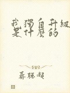 我独自升级原著是什么的