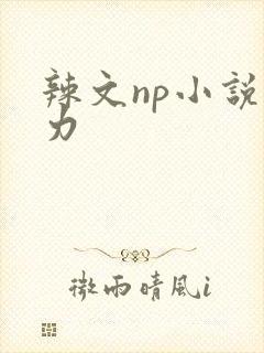 辣文np小说暴力