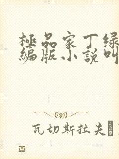 极品家丁绿帽改编版小说叫什么
