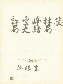 许云峥林蕊思结局大结局