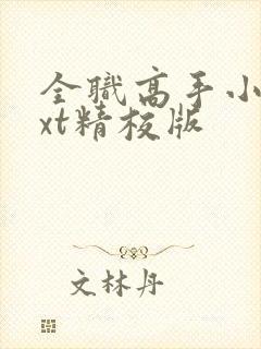 全职高手小说txt精校版