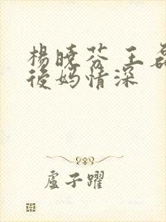 杨晓芬 王磊 后妈情深