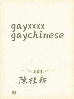 gayxxxxgaychinese