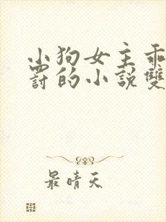 小狗女主乖乖受罚的小说双女主小说