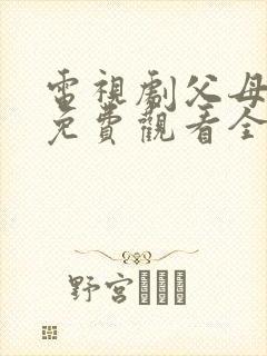 电视剧父母爱情免费观看全集观看封面