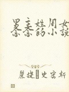 男主姓周女主叫念念的小说