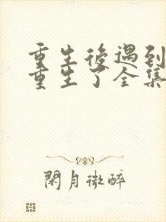 重生后遇到你也重生了全集