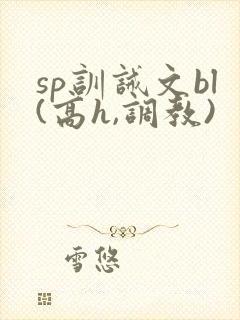 sp训诫文bl(高h,调教)封面