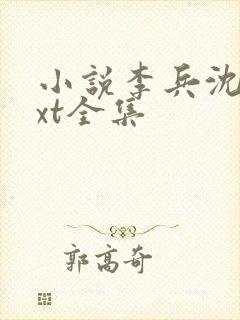 小说李兵沈思txt全集