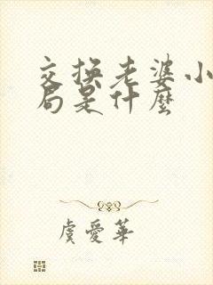 交换老婆小说结局是什么