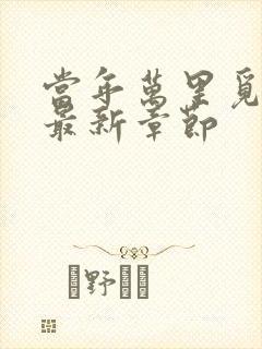 当年万里觅封侯最新章节封面