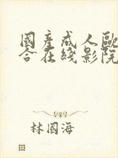 国产成人欧美综合在线影院