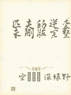 匹夫的逆袭小说未删版完整