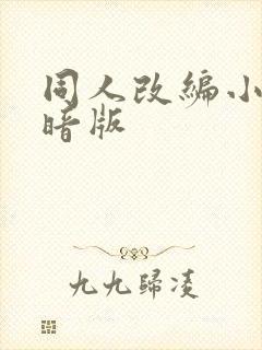 同人改编小说黑暗版封面