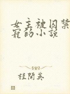 女主被囚禁当禁宠的小说