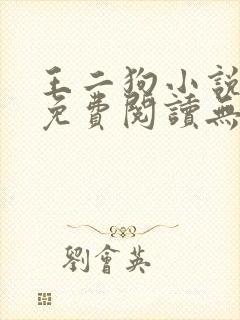 王二狗小说全文免费阅读无弹窗