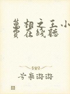 万相之王小说免费在线听