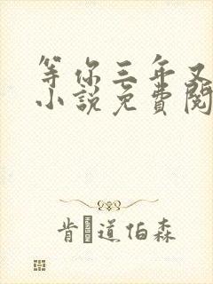 等你三年又何妨小说免费阅读