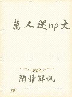 万人迷np文h