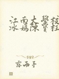 江南大学校花陆冰嫣陈宝柱