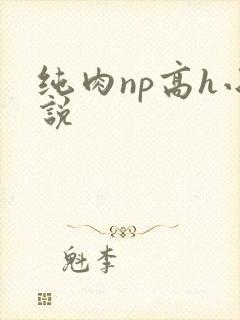纯肉np高h小说封面