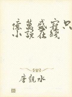 亿万盛宠只为你小说在线