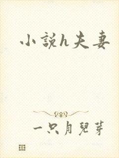 小说h夫妻