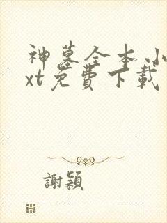 神墓全本小说txt免费下载封面
