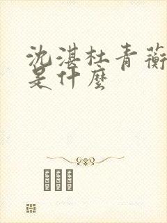 沈湛杜青蘅结局是什么