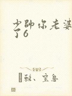 少帅你老婆又跑了6