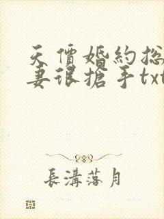 天价婚约总裁前妻很抢手txt