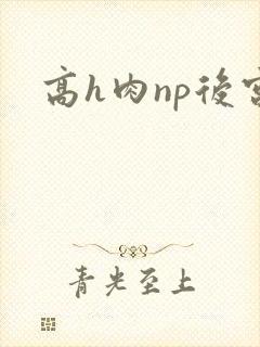 高h肉np后宫