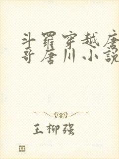 斗罗穿越唐三亲哥唐川小说