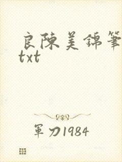 良陈美锦笔趣阁txt