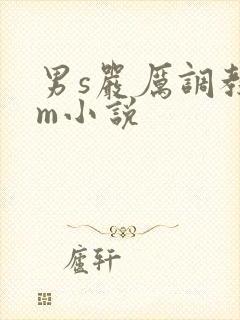 男s严厉调教女m小说封面