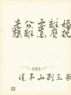 老公要离婚我不想离怎么挽留封面