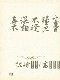 春深不归客清梦不相逢免费阅读全文