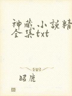 神藏小说精校版全集txt