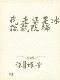 我老婆是冰山女总裁改编封面