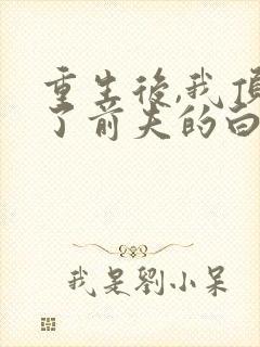 重生后,我顶替了前夫的白月光